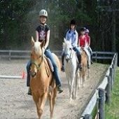 Horse Riding Training Centres